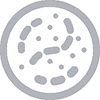 Legionella